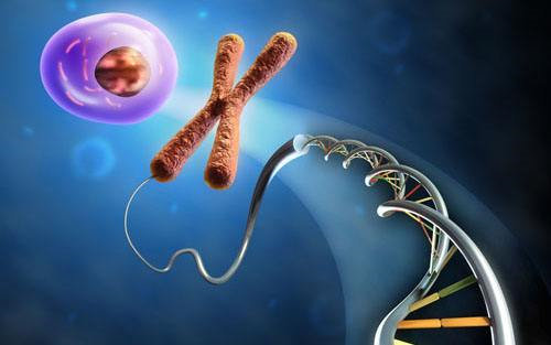單細胞RNA-Seq揭示了骨髓瘤腫瘤細胞的獨特基因組成